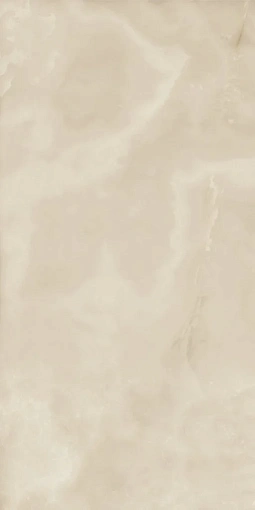 Плит.  Charme Evo ONYX 60*120 RET