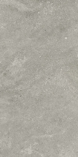 АУРА СТОУН ГРЭЙ 60X120 РЕТ