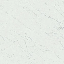 Плитка Marvel Carrara Pure 120x120 Lappato Плитка Marvel Carrara Pure 120x120 Lappato