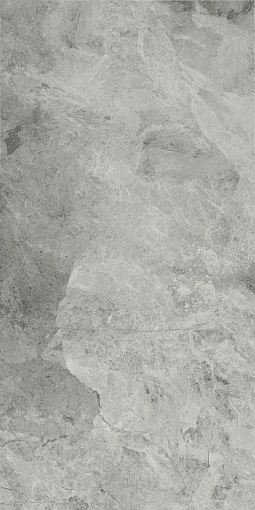 Плит.  Charme Extra SILVER 60*120 RET