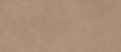 Плитка Boost Natural Coral 120x278