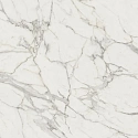 Плитка Marvel Calacatta Extra 160x160RT Matt