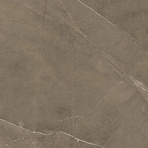 Керамогранит Coliseum FIAMMA BRONZE 60 RET / ФИАММА БРОНЗ 60 ретт