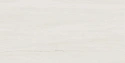 Плитка Marvel Bianco Dolomite 60x120 Плитка Marvel Bianco Dolomite 60x120