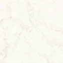 Плитка Marvel Calacatta Delicato 60x60 Silk