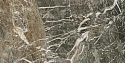 Керамогранит F.d.M.Quark Breccia di Car. 80*160 Lapp Керамогранит F.d.M.Quark Breccia di Car. 80*160 Lapp