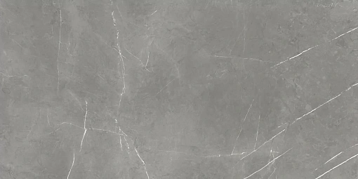 Керамогранит  Forte dei Marmi  Elegant Grey Rett 60*120 Cer