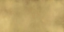Плит. Continuum BRASS GOLD 80*160 LAP