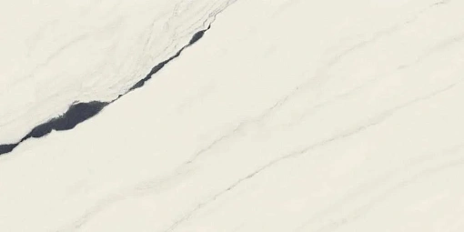 Керамогранит  Forte dei Marmi  Panda White Rett 60*120 Cer