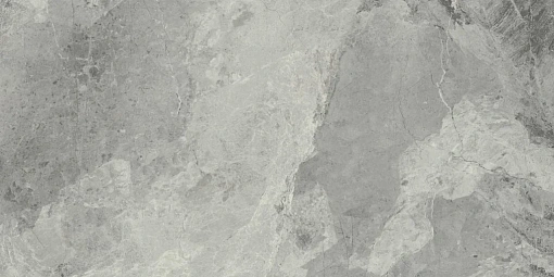 Плит.  Charme Extra SILVER 60*120 LUX