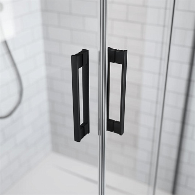 Душевая дверь Radaway Idea Black DWD 190x200