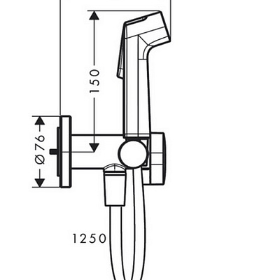 Гигиенический душ Hansgrohe Bidette S, EcoSmart, держатель и шланг 125 см, хром, 29232000