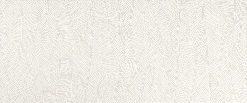 Плитка Aplomb White Leaf 50x120
